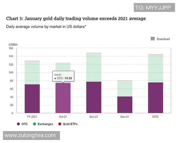 TES在冠军杯中的耐力表现分析与未来展望