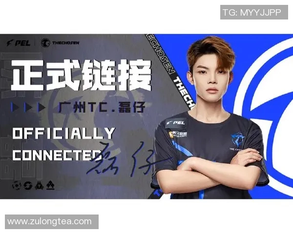 电竞数据陈磊谈和平精英成功秘诀揭秘背后的策略与创新思维