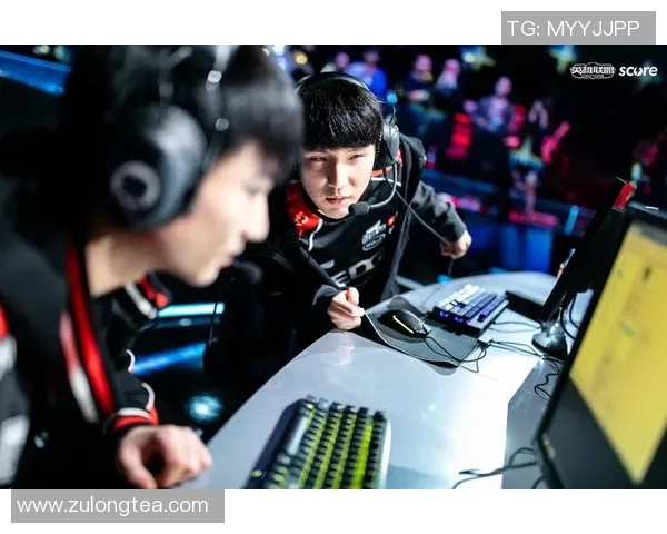 2026电竞新闻和平精英焦点EDG团队协作与战术配合深入分析与探讨